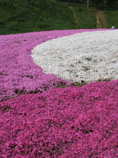 もはや定番スポット！！