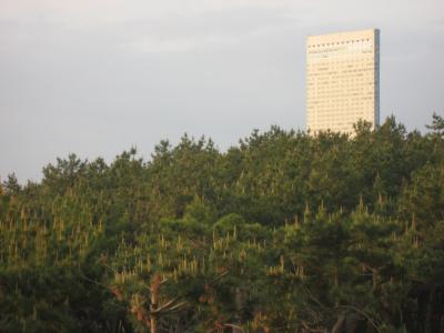 ゴルフ仲間でいくには手頃