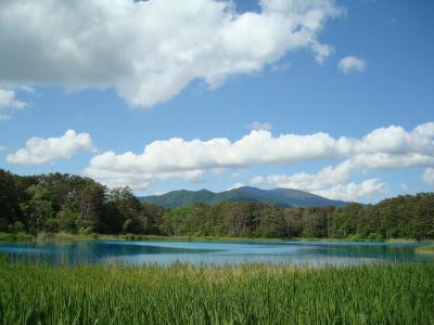 新緑の五色沼自然探勝路