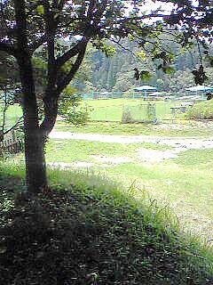 すいらんグリーンパーク＆ドックラン