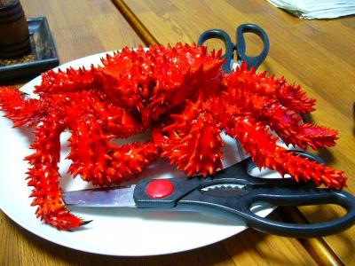 休み番屋　しおかぜ