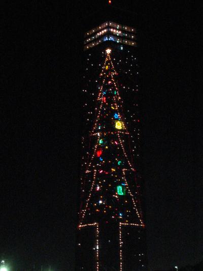 千葉県最大！クリスマスツリー＾＾