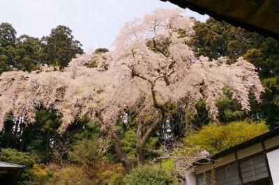 遊覧船の待ち時間には最適