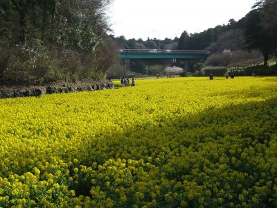 追分市民の森