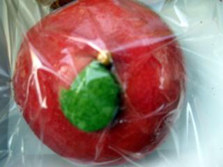 安達太良SA下り線