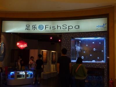 フィッシュ　スパ（Fish Spa）