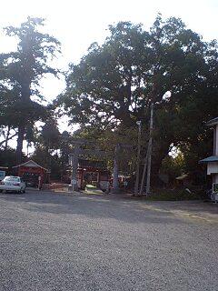 山宮神社と大クスの木