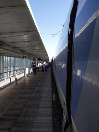 パリに到着する前にチケットを買っておく技