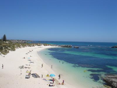 癒されます！ロットネス！！