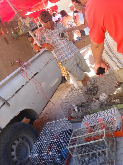 ヴァレッタのＳｕｎｄａｙ　Ｍａｒｋｅｔ！