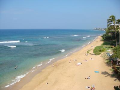 外国人に絶大な人気