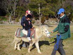 アムズガーデンビレッジでランチバイキング。 