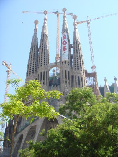 やっぱり登ってみるもんだ。