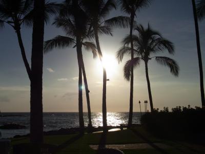 満足できました。