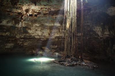ジブリの世界☆プライベートツアーで行くセノーテ♪