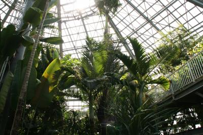 植物売店は出色