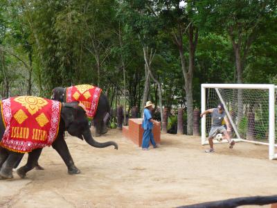 エレファントショーがおすすめ