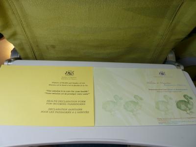 モーリシャスへの入国