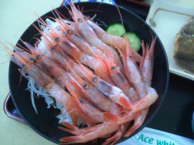 甘エビが食べたい時におすすめ