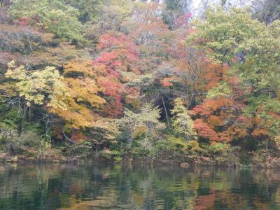 湖畔から見る紅葉