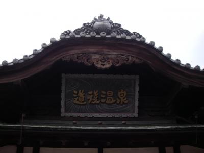 みかんの故郷の名湯