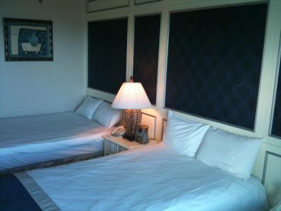 コストパフォーマンスやサービスは大変いいです。