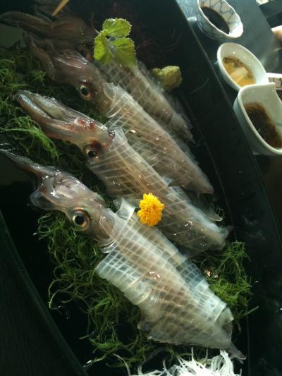 イカ！！！！うまい！！！