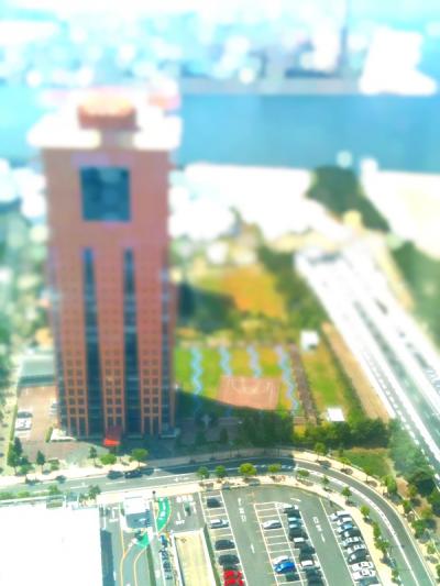 一望の景色。ビーチも近くて意外といろいろある。