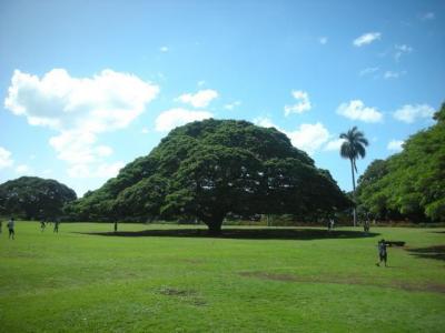 日本人しか行かない？