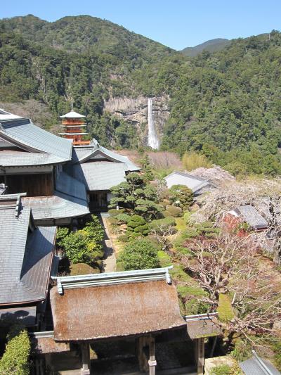 那智大社から眺める大滝も良かった！