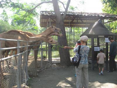 植物園内のミニ動物園