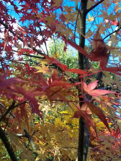 鬼怒川の行きつけ温泉☆