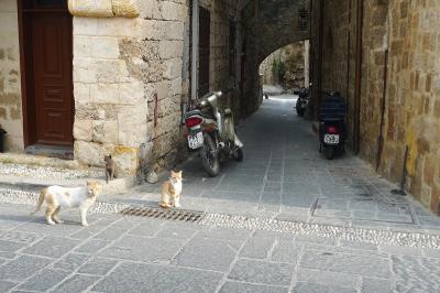 最高の中世都市