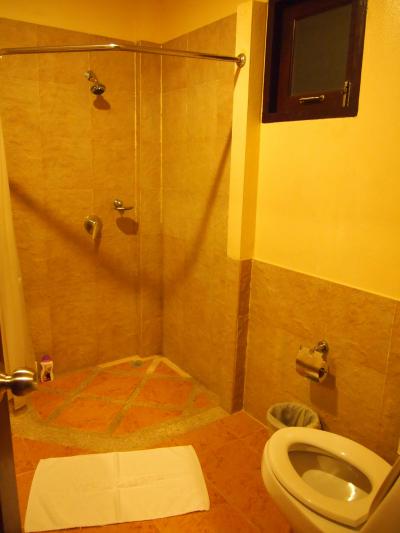 シャワーは固定式です