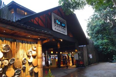 日本ではできない体験