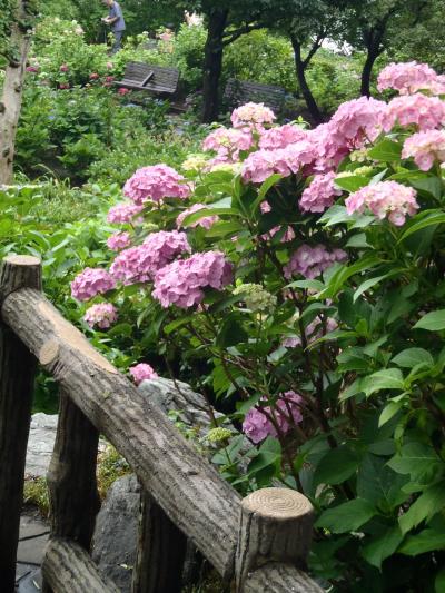 お手軽に花を楽しめる駅前の公園