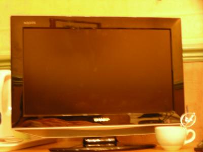 テレビは大きめ。日本製。