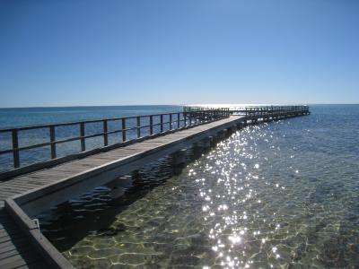 ２７億年前の生物