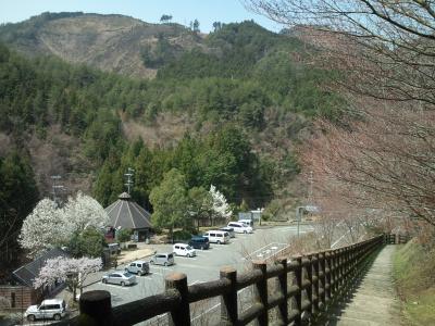 にわか熊野古道ファンにぴったり♪