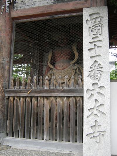 ゆっくりとした時間が流れる