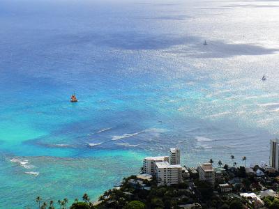 登ってみて損はしません！