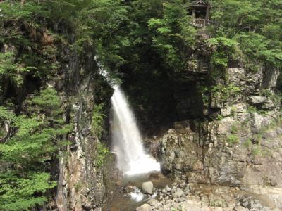 本当に虹が出ています