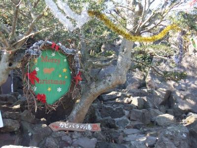 【伊豆シャボテン公園】家族愛あふれるカピバラ一家
