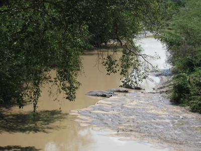 バーからの景色です