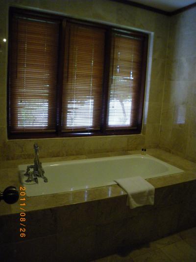 バスタブ＆シャワー・外の景色が見れます。