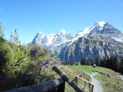 アルメントフーベルからの眺め
