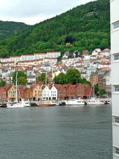 横に何とかブリッゲンが見える