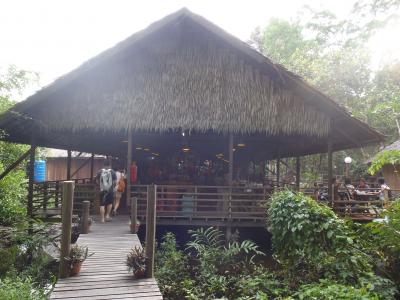 リバーサファリ