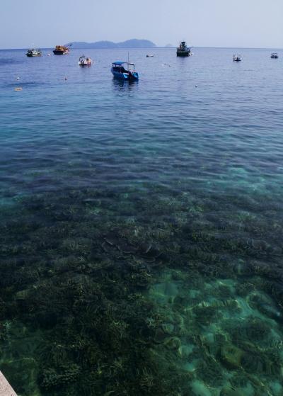 真っ白なビーチが南の島に来た事を実感させてくれる無人島