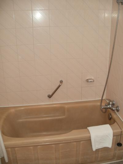 湯を張って浸かることはできます。